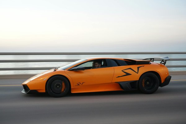 Silencing the Bark: Effective Strategies to Curb Your Energetic Dog's Noise – The Definitive Handbook